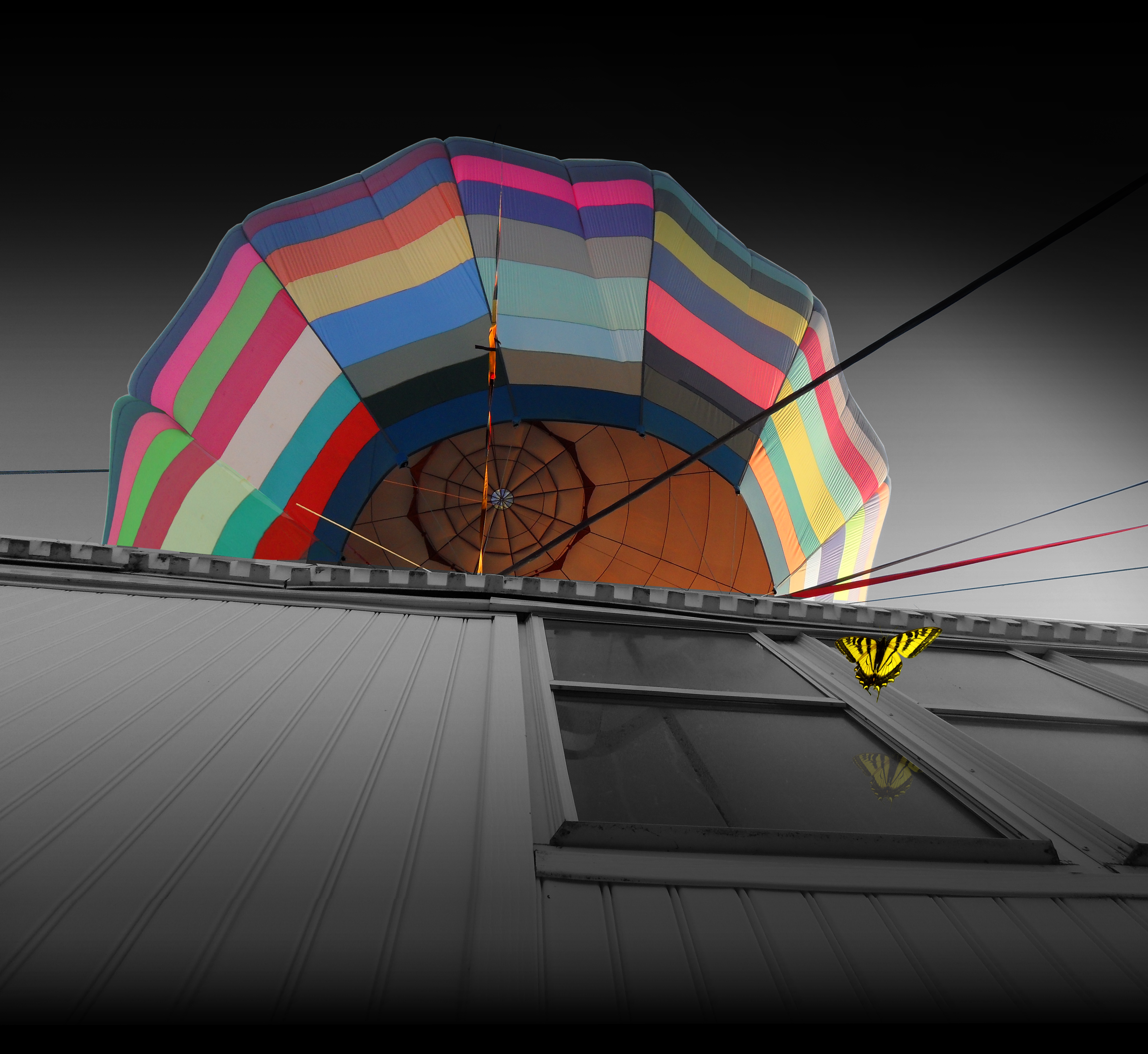 balloon balloon